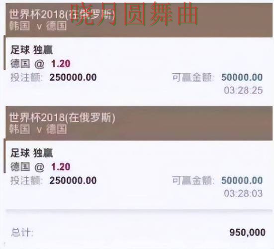 世界杯投注官网平台功能对比分析，核心技巧公开